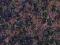 Blat kuchenny indyjski granit gr.3cm SAPHIRE BROWN