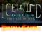 ICEWIND DALE: ENHANCED EDITION PL - PREZENT STEAM