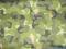 CORDURA kamuflaz m90 camouflage kamuflaz szwedzki