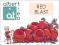 ALBERT TEA Red Blast HERBATA OWOCOWA 100G