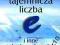 Tajemnicza liczba e i inne sekrety matematyki Miś