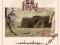 Calm Hatchery - Fading Reliefs (CD)