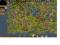 The Settlers Online Złota Góra (realm 7) lvl 50