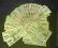 140 BANKNOTÓW PRL + 10 GRATIS 140 BANKNOTÓW PRL + 10 GRATIS