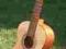 Gitara klasyczna 3/4 Strunal Elvira