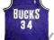 KOSZULKA NBA JERSEY RAY ALLEN MILWAUKEE BUCKS