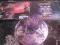 YATTERING Human`s Pain - I wyd.`98 Moonlight