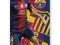 Ręcznik FC Barcelona Fabregas FFAN