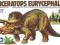 Triceratops Eurycephalus - model do sklejania
