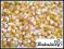 POPCORN kukurydza do prażenia 500g wysyłka w 24h