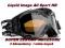 Gogle z kamerą All Sport HD Mega Zestaw NOWE GoPro