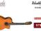 GITARA ELEKTRO - KLASYCZNA WASHBURN C 5 CE