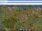 Konto Settlers - NOWA Ziemia 50 LVL