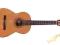 HISZPAŃSKA GITARA KLASYCZNA ADMIRA PALOMA+ ?