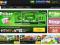 gamedesire,wp.pl, poker4chips 1mln