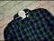D179E INDIGO _KRACIASTA KOSZULA CHŁ na164 cm NOWA