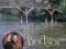 John Williams Bridges Featuring Cavatina Theme Fro