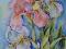 IRYSY BIAŁE I RÓŻOWY - obrazek - 30x40 Akryl