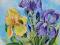 IRYSY FIOLETOWE I ŻÓŁTY  - obrazek - 30x40 Akryl