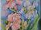 IRYSY RÓŻOWE I BIAŁY  - obrazek - 30x40 Akryl
