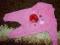 Pajacyk roz 56 Biedronki falbanki 3D falbanki