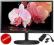 Monitor 24'' LG 24M35D LED FullHD dSub DVI +GRATIS