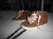 Buty Buciki ZARA BABY 22