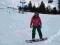 spodnie snowboard narty Rossignol rozm. 40-42