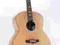 GITARA TANGLEWOOD TSJ XFM MINAX