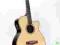 %% GITARA Tanglewood TRSF-CE MINAX %%