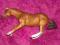 Collecta - ogier rasy Quarter Horse