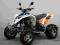 Quad ATV EGL MOTORS MAD MAX 300 + HOMOLOGACJA