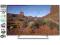 TV PANASONIC TX-42AS600- SMART TV Z WIFI-Wadowice