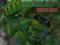 THE INCREDIBLE HULK  ANNUAL 2004 -MARVEL-ANGIELSKA
