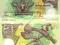 ~ Papua Nowa Gwinea 2 Kina POLIMER 2005 ! 2-litery