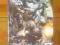 Moon Knight; #9 2007 rok