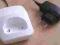 ## Ładowarka SIEMENS Gigaset E300 Charger + ZASIL