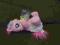 KUCYK PONY MY LITTLE PONY FIRMY HASBRO INTERAKTYWN