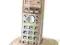 Telefon bezprzewodowy Panasonic KX-TG2511PDJ