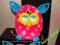 Furby BOOM!!!!! PL