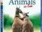 ANIMALS IN LOVE BLU-RAY  @ WYPPRZEDAŻ @ KURIER