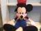 Ogromna myszka mickey disney