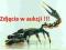 LEGO ATLANTIS 8076 SCORPION!!!!!!!!!!!!!!!!!!!!!!