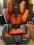FOTELIK  RECARO YOUNG SPORT 9-36 kg JAK NOWY