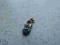 Emaliowana Zawieszka do Łańcuszka na Rękę Pr.925