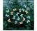 LAMPKI SOLARNE - TESCO BUTTERFLY STRING LIGHT