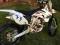 Yamaha YZ250F 2009