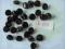 Guziki na stopce ś.15 mm kol.czarny 32 szt L.108