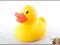 8915-7 ...... KLASYCZNA ZOLTA KACZUSZKA DO WANNY
