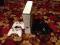 XBOX 360 4GB - GWARANCJA DO 02-12-2016